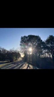 What a beautiful day! 
The perfect day for a drive through the New Forest to a perfect wedding venue #rhinefieldhousehotel 
Come and have a look around and meet lots of fab local suppliers. It’s never too cold to sample our #newforesticecream come and have a chat and see how we can help you create your perfect wedding day. #newforesticecream #brockiceabbie #hampshireweddings